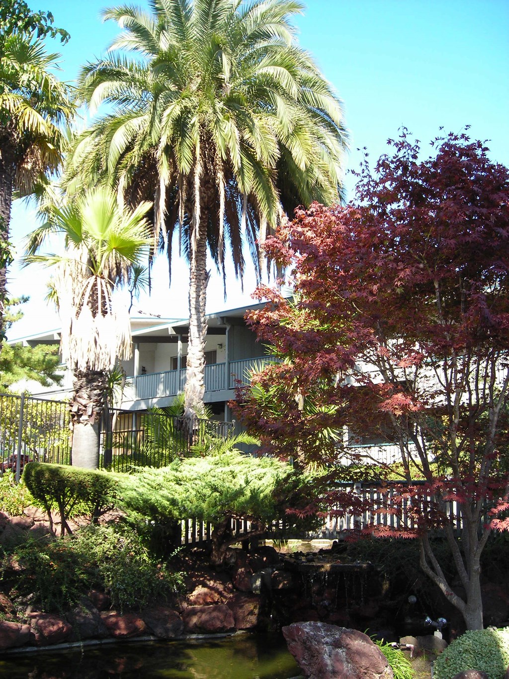 Walnut Hills Apartments, 1137 & 1175 Walpert Street, Hayward, CA RentCafe